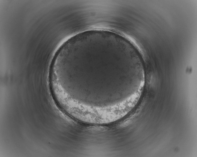 X0000095511331200801111404