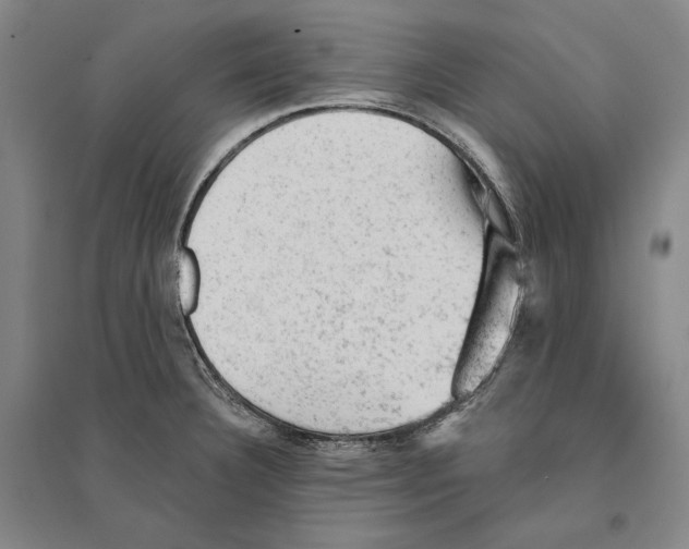 X0000095511332200801111404