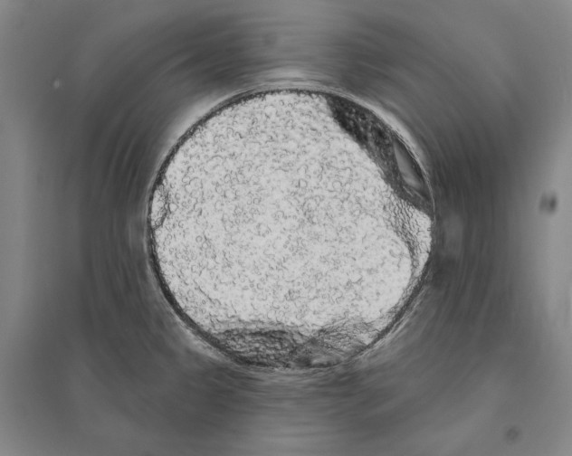 X0000095511333200801111404