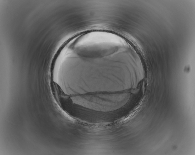 X0000095511334200801111404
