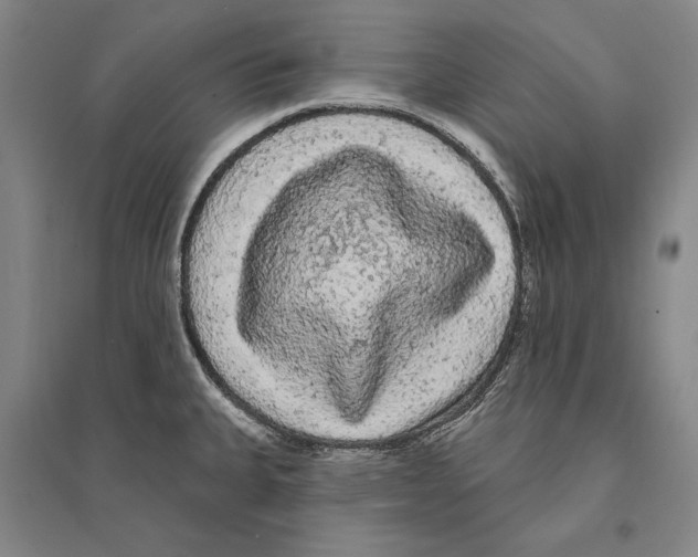 X0000095511335200801111404
