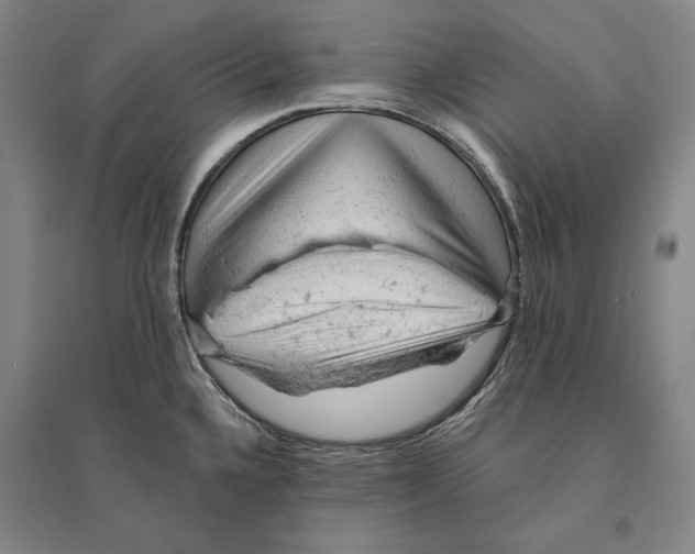 X0000095511336200801111404