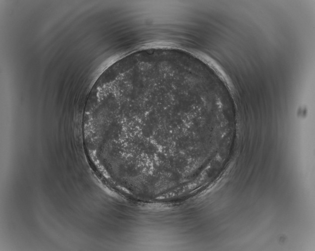 X0000095511337200801111404