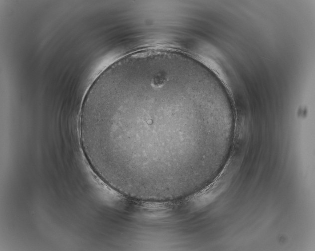 X0000095511338200801111404