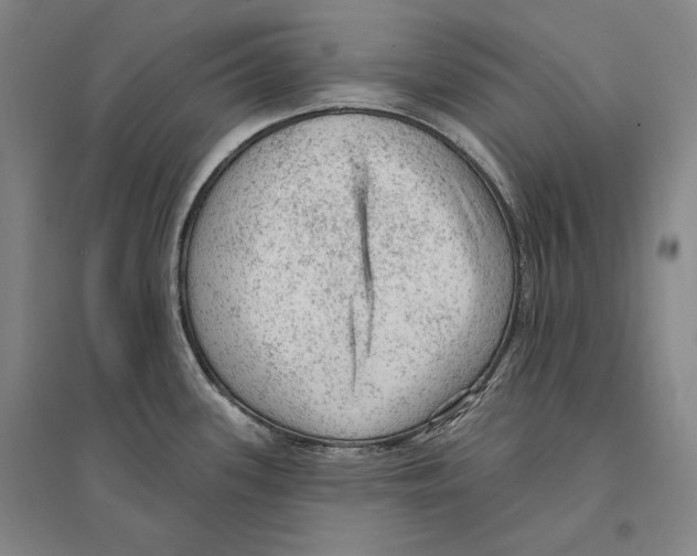 X0000095511339200801111404