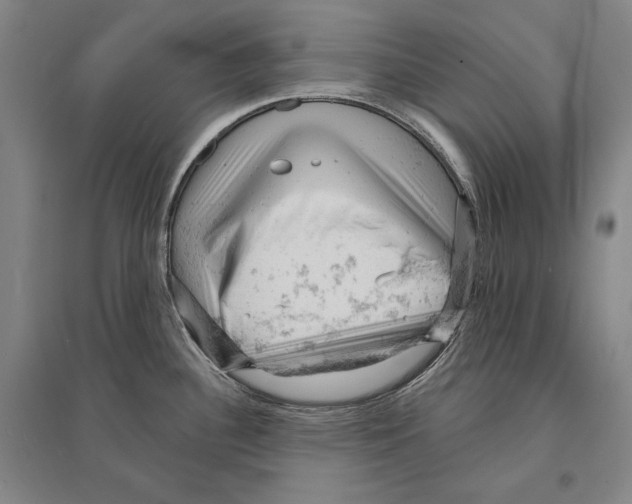 X0000095511340200801111404