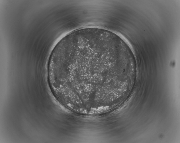 X0000095511341200801111404