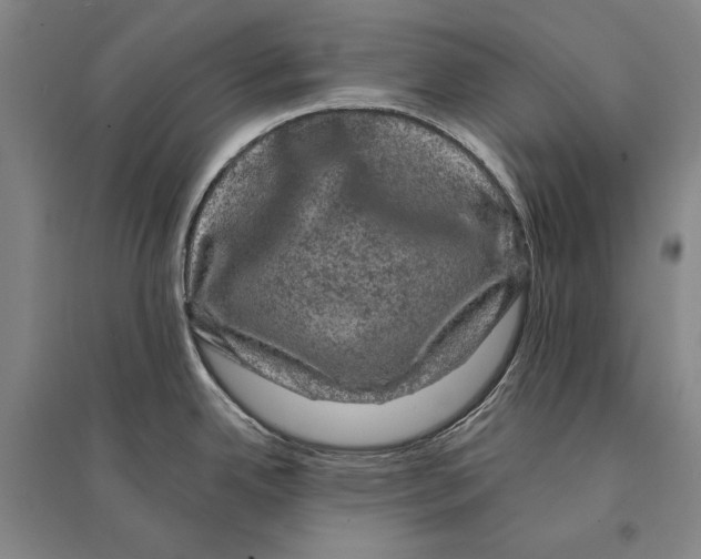 X0000095511342200801111405