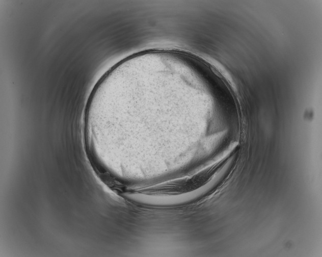 X0000095511343200801111405