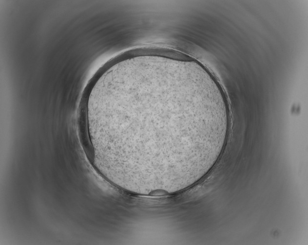 X0000095511344200801111405