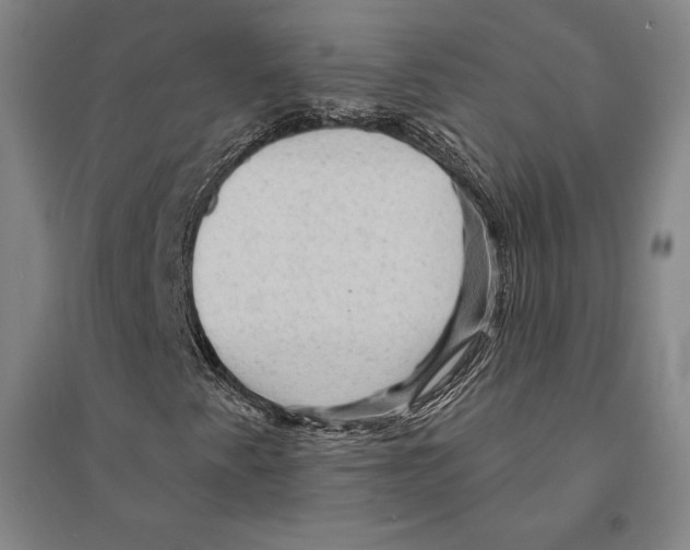 X0000095511345200801111404