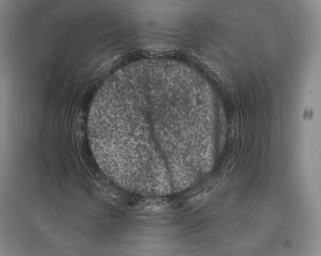 X0000095511346200801111404