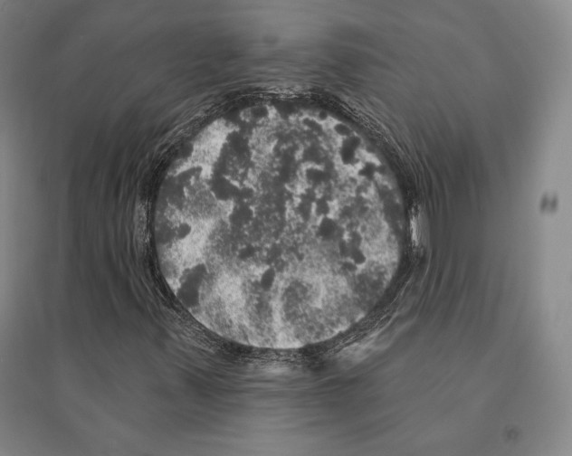 X0000095511347200801111404