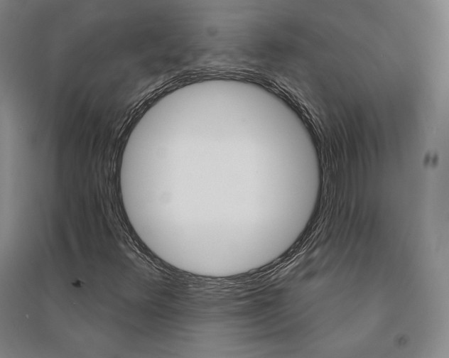 X0000095511348200801111404