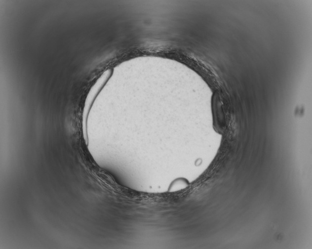 X0000095511349200801111404
