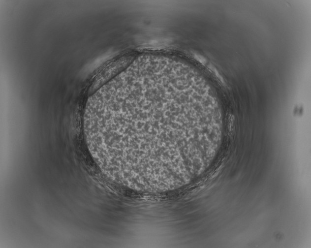 X0000095511350200801111404