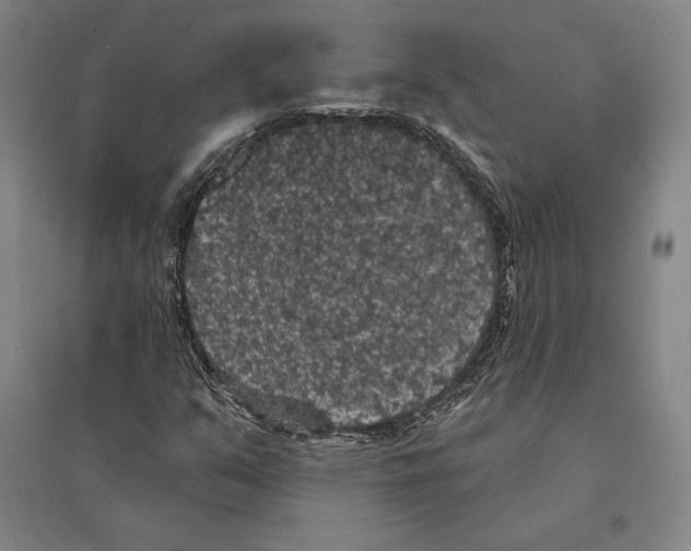 X0000095511351200801111404