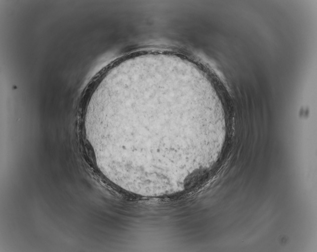 X0000095511352200801111404