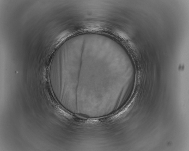 X0000095511353200801111404