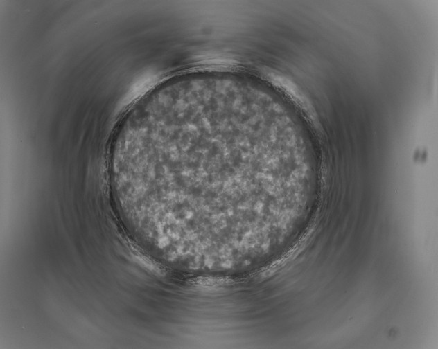 X0000095511354200801111404