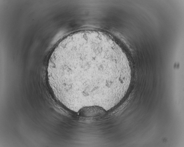 X0000095511355200801111404