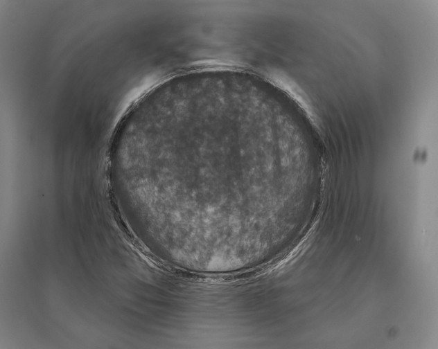X0000095511357200801111404