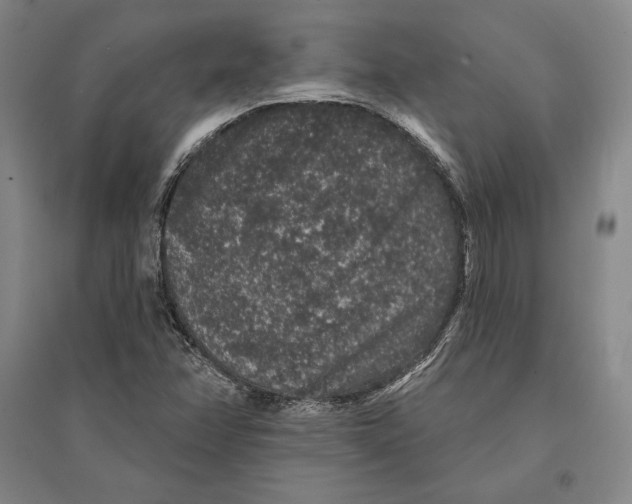 X0000095511358200801111404