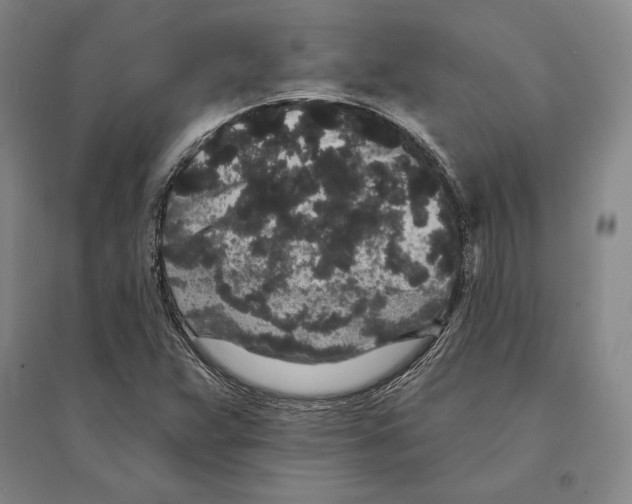 X0000095511359200801111404