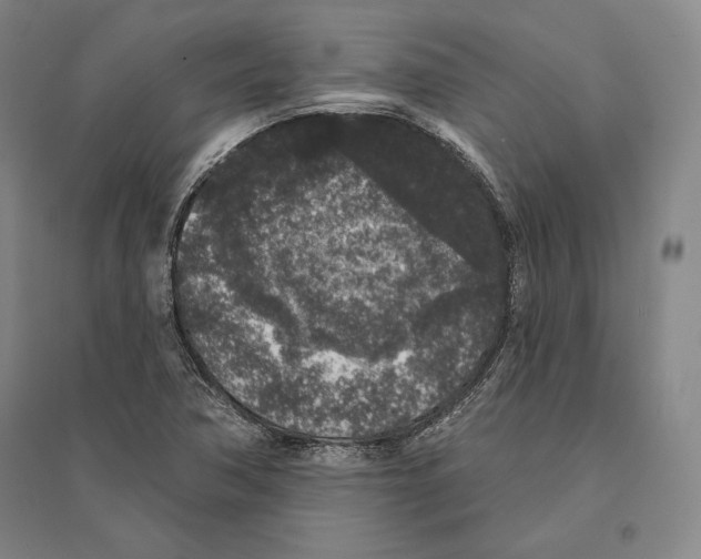 X0000095511362200801111404