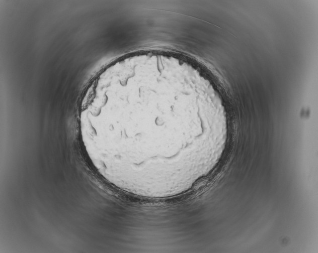 X0000095511363200801111404