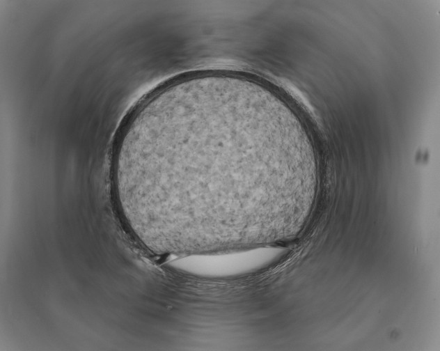 X0000095511364200801111404