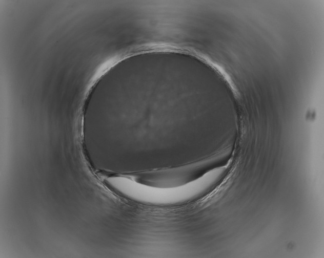 X0000095511365200801111404