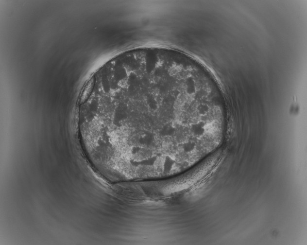 X0000095511367200801111403