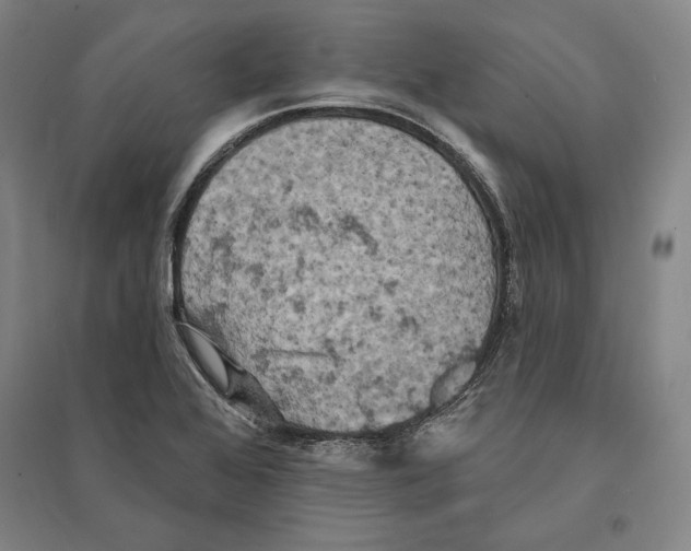 X0000095511368200801111403