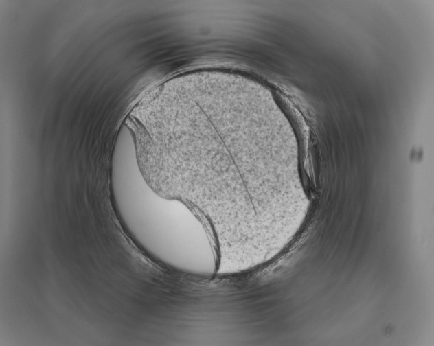 X0000095511369200801111403