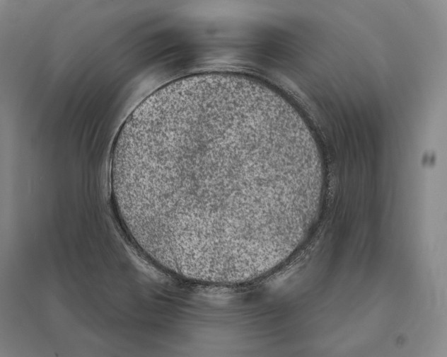 X0000095511370200801111403