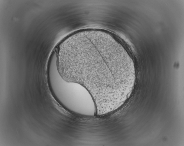 X0000095511372200801111403