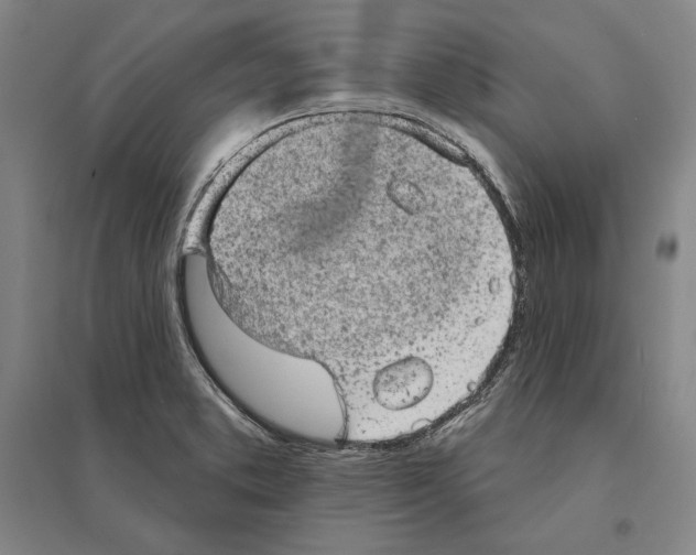 X0000095511373200801111403