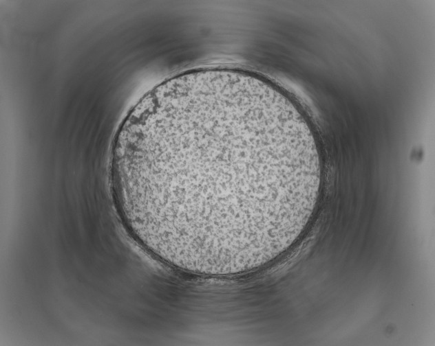 X0000095511374200801111403