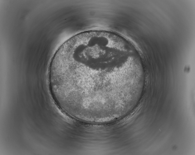 X0000095511375200801111403