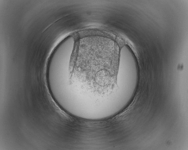 X0000095511376200801111403