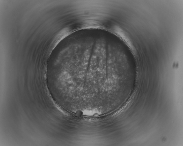 X0000095511377200801111403