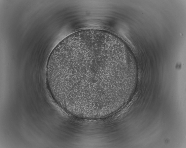 X0000095511378200801111403