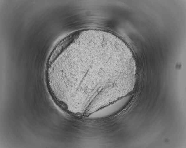 X0000095511379200801111403