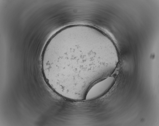 X0000095511380200801111403