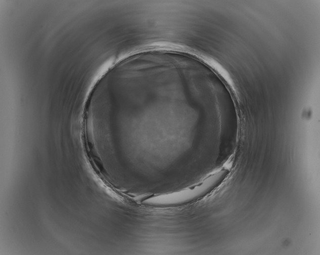 X0000095511381200801111403