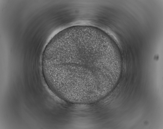 X0000095511382200801111403