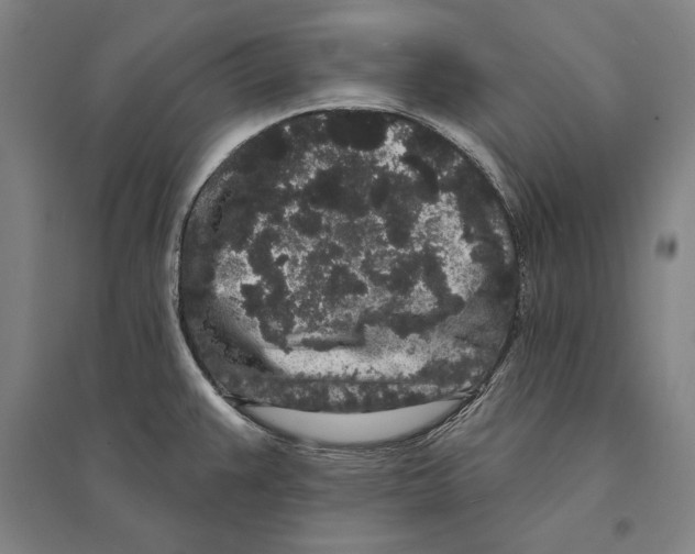 X0000095511383200801111403