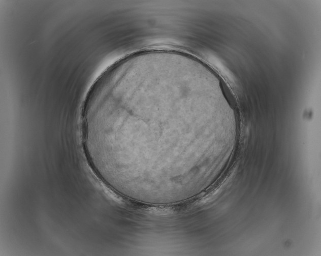 X0000095511384200801111403