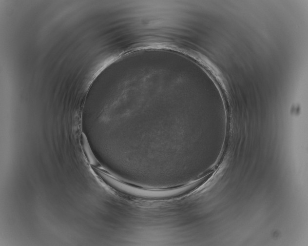 X0000095511385200801111403